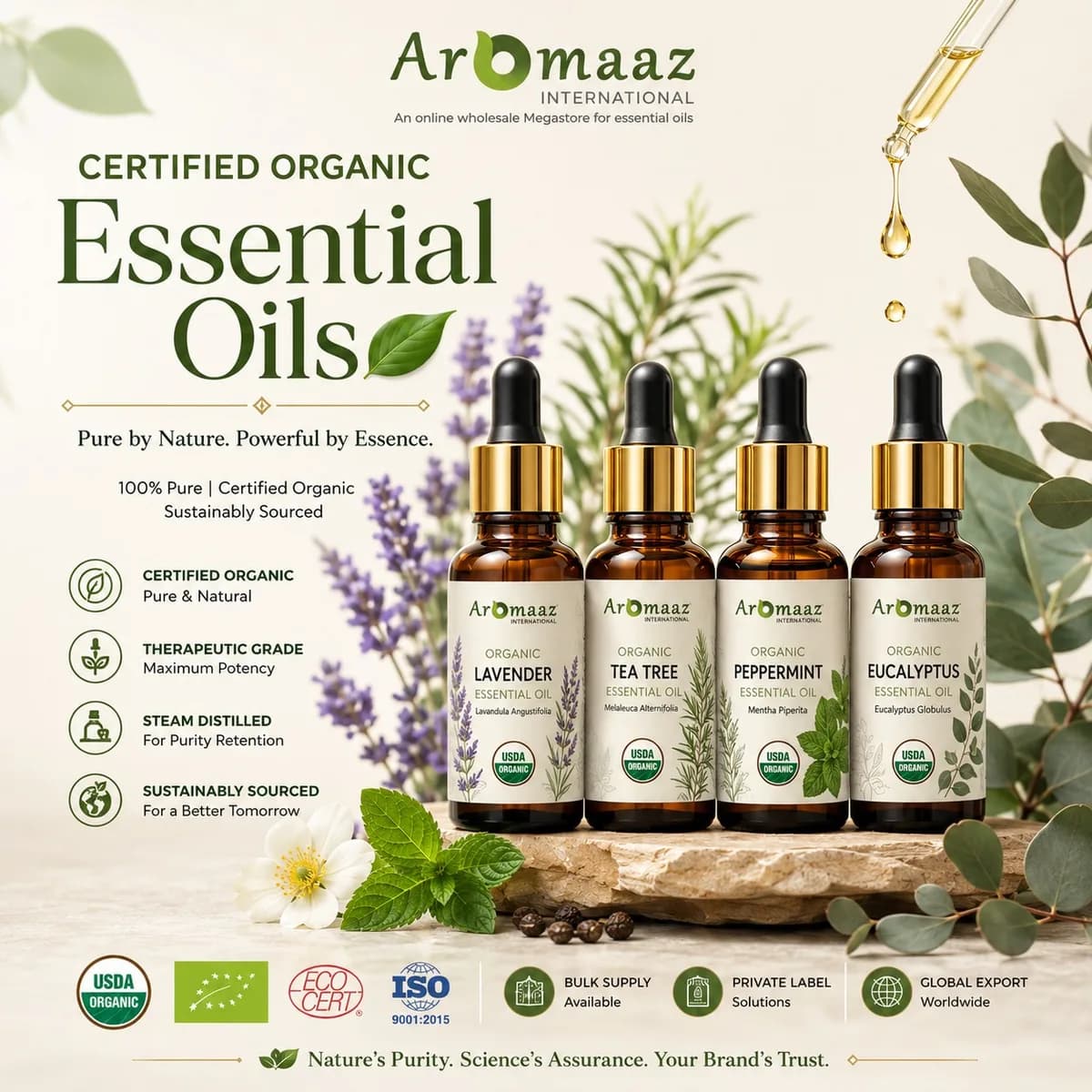 Certified Organic Oils Supplier for B2B Manufacturers & Global Brands
