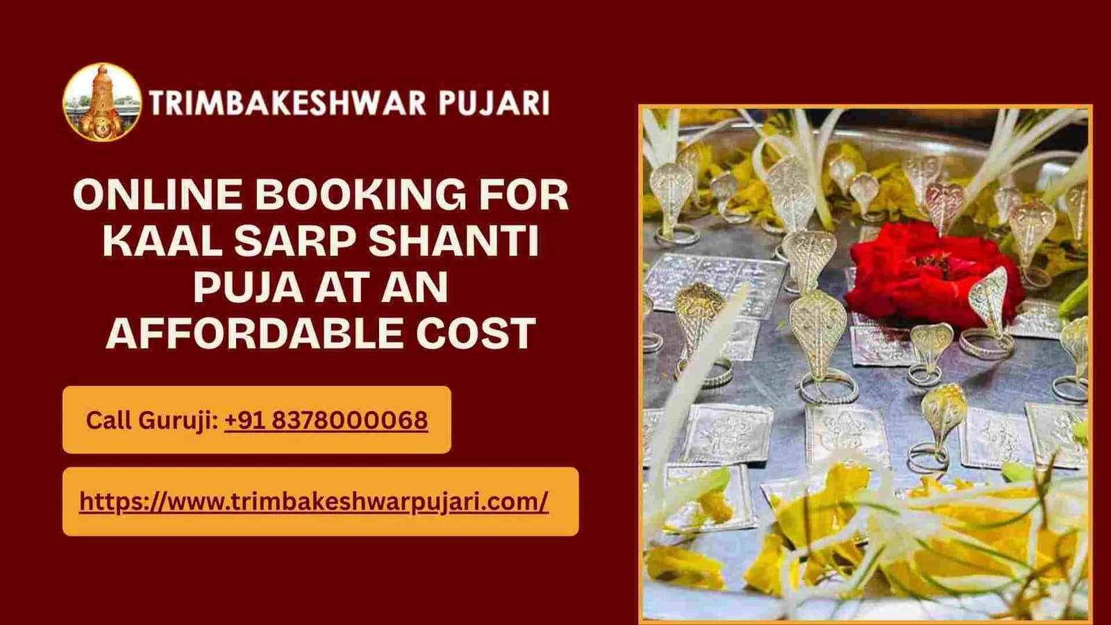 Online Booking For Kaal Sarp Shanti Puja At An Affordable Cost