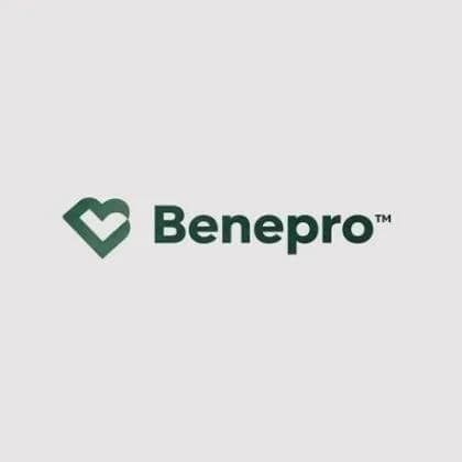 BENEPRO The Benefit Professionals