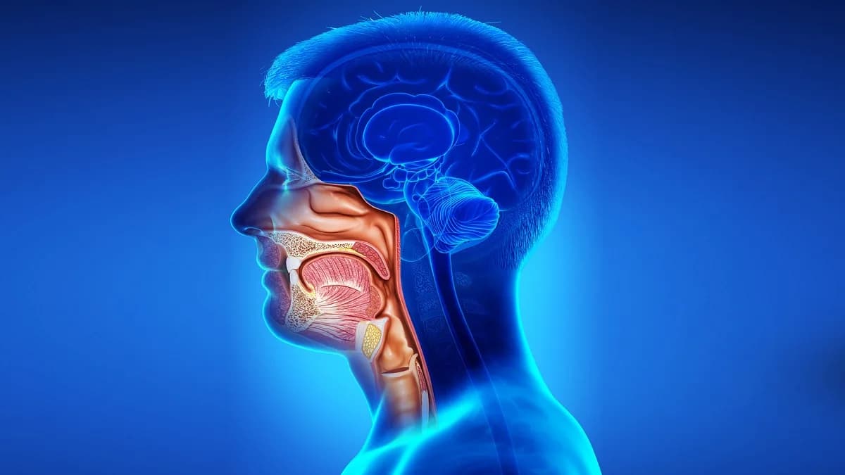Best Head and Neck Cancer Doctor in Noida with Advanced Care
