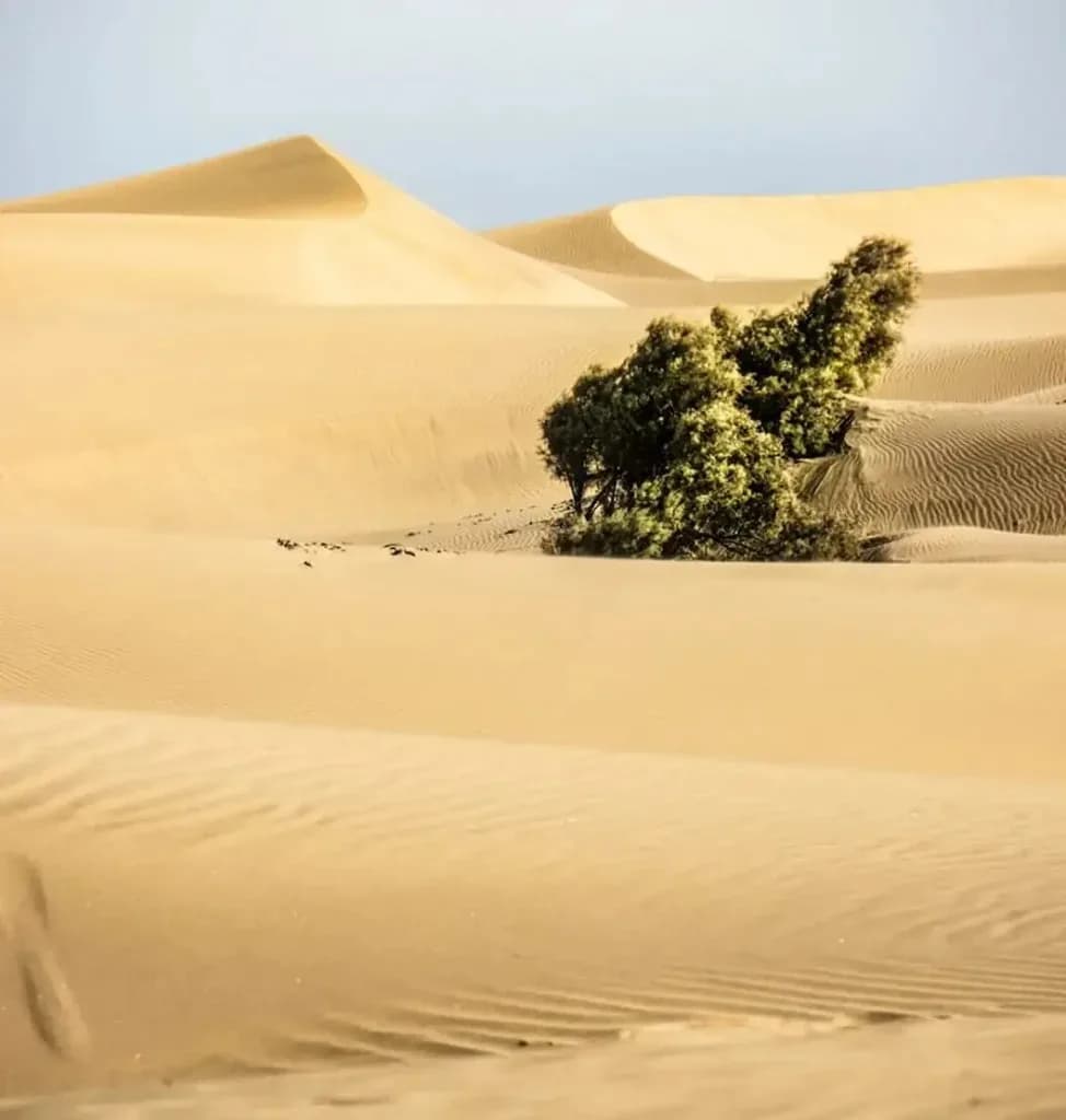 Vacanze Al Mare in Marocco
