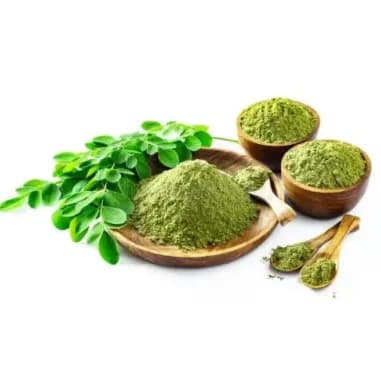 Organic Moringa Powder Trader & Exporter
