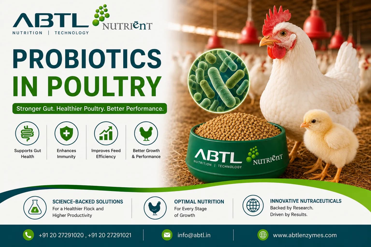 Probiotics in poultry