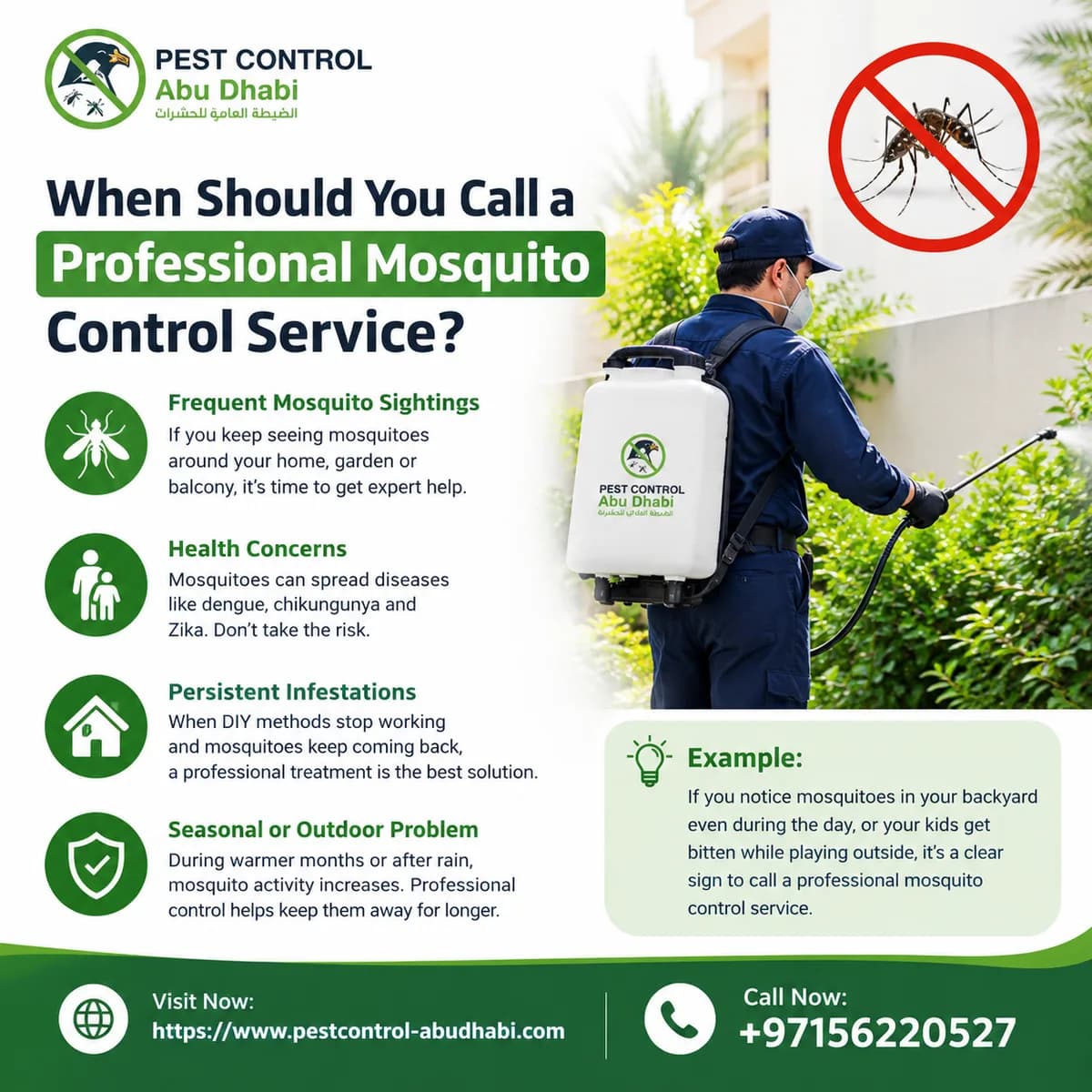 When Should You Call a Professional Mosquito Control Service? 