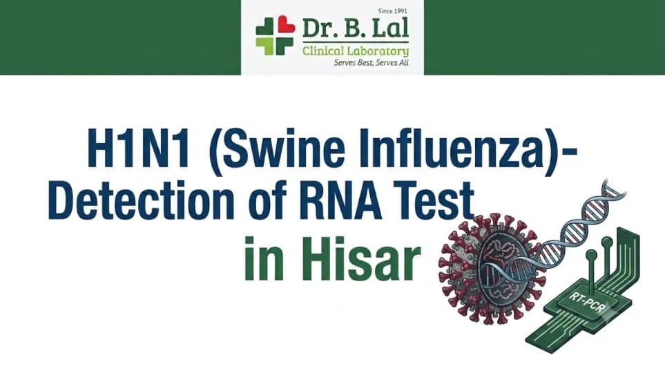 H1N1 Test in Hisar with Free Home Collection | Convenient Swine Flu Testing