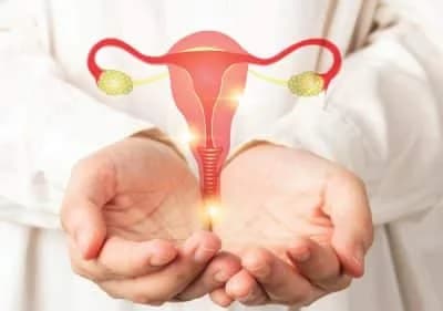 Affordable Intrauterine Insemination in Delhi | Fertylity IVF