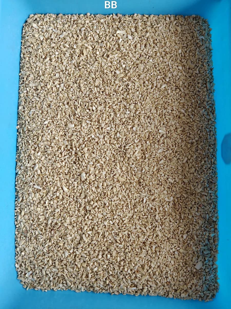 BB CASHEWS WHOLESALE READY TO DISPATCH IN Kanpur Auraiya Etawah 7550251115