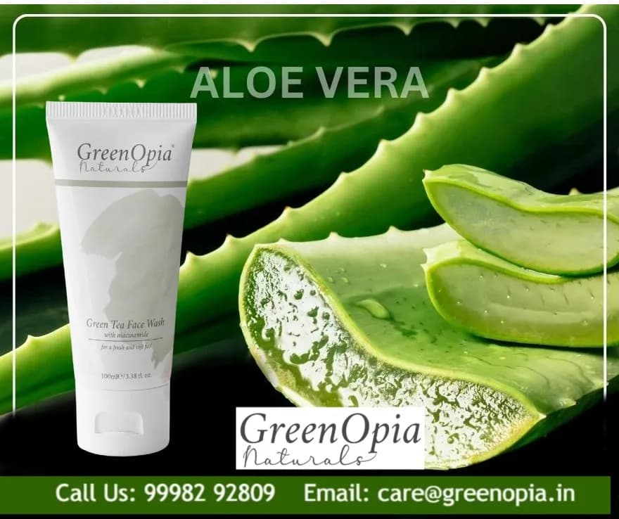 Why Your Oily Skin Needs Aloe Vera in a Green Tea Face Wash - Greenopia