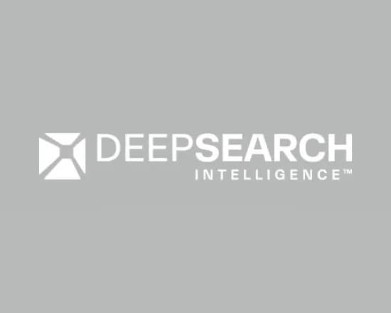 DeepSearch Intelligence