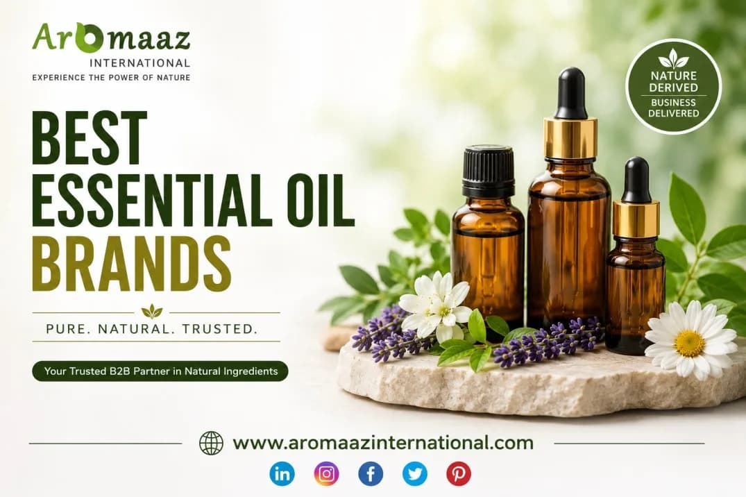 Premium Essential Oils from One of the Best Essential Oil Brands