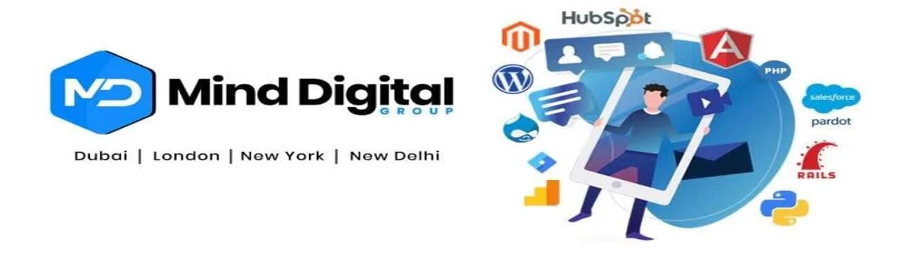 Professional E-commerce Website Development in USA