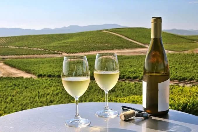 Best Small Winery Napa Valley