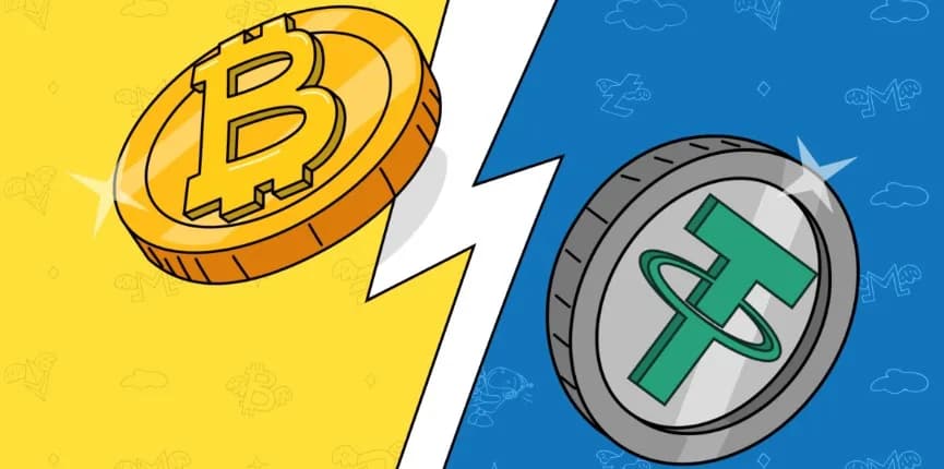 The Bitcoins & USDT are Transferable & Spendable