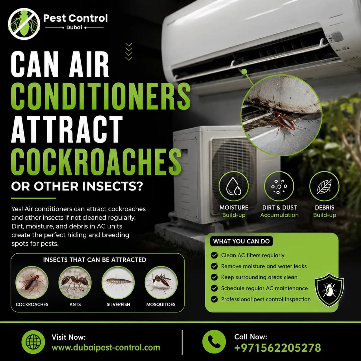 Can Air Conditioners Attract Cockroaches or Other Insects? 