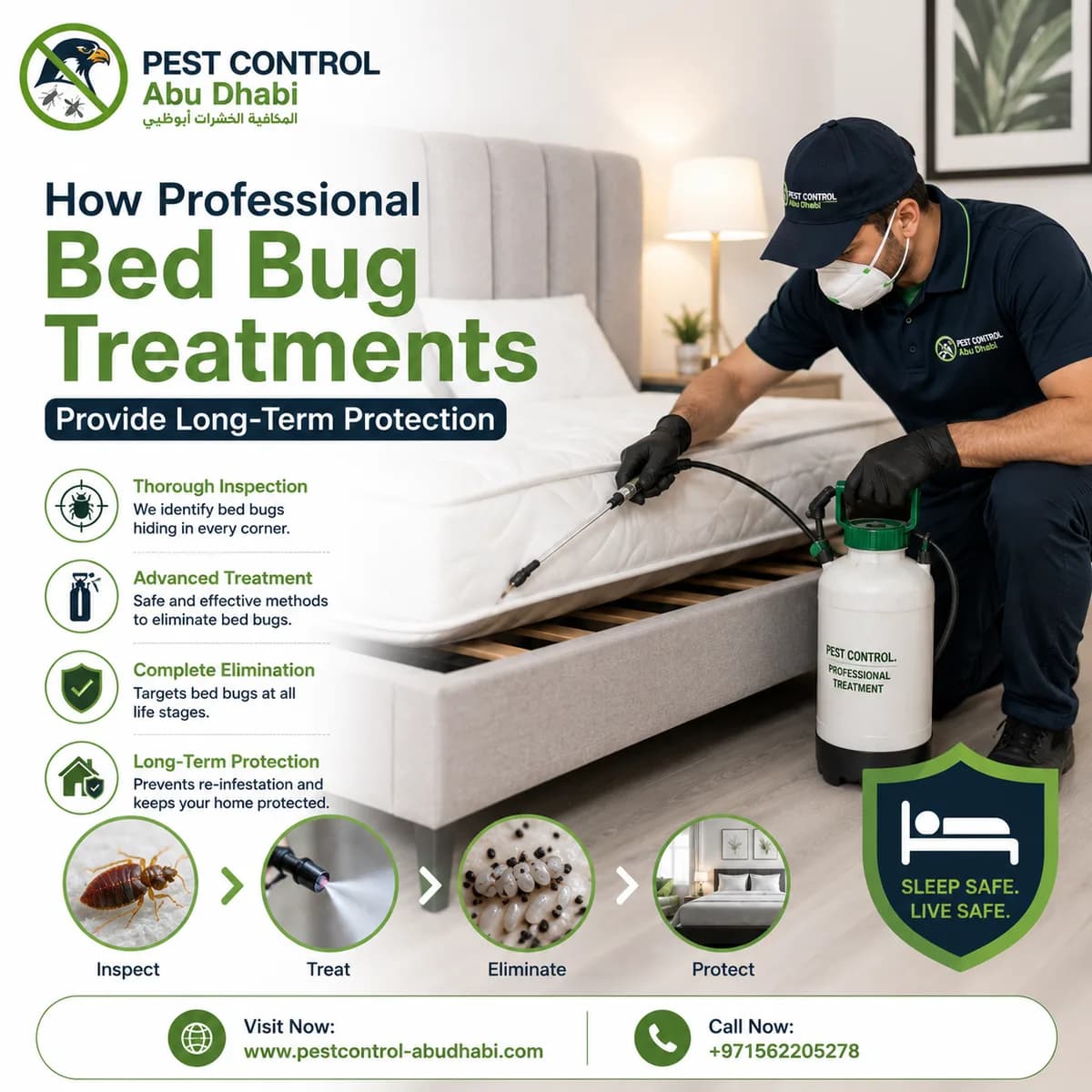 How Professional Bed Bug Treatments Provide Long-Term Protection