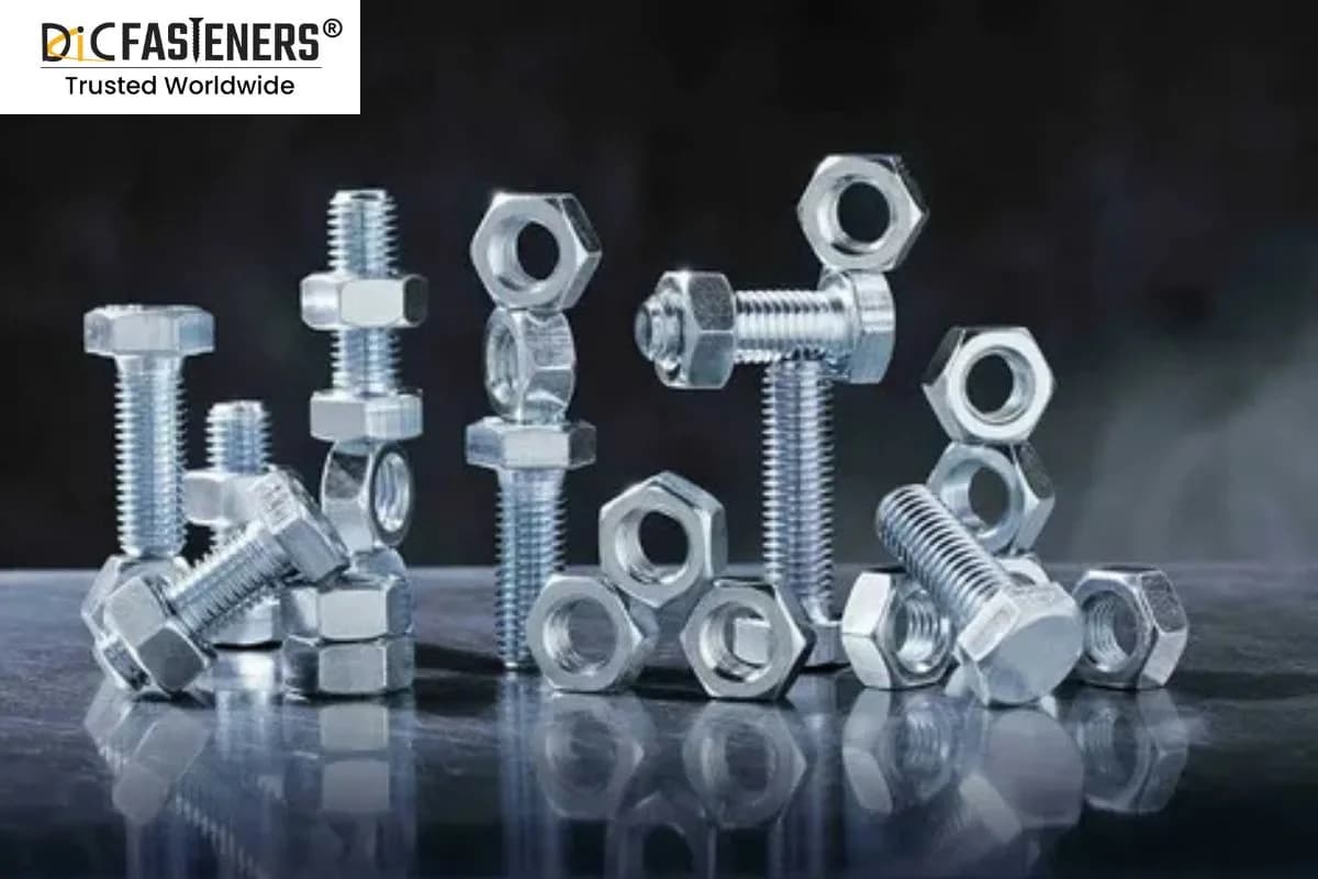 Nuts Exporter & Supplier in India | SS & Industrial Nuts