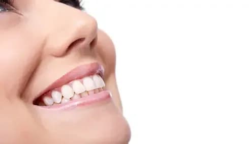 Top-Rated Root Canal Dentists in Brooklyn, NY | Expert Dental Care
