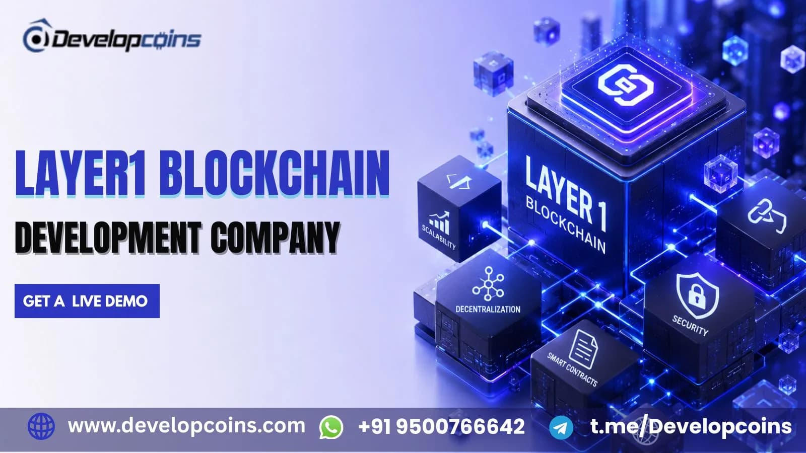 Turn Your Blockchain Vision into a Network with Layer 1 Blockchain Development 