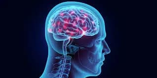 Brain Hemorrhage Treatment | Advanced Minimally Invasive Care