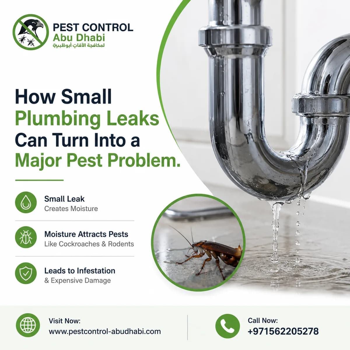 How Small Plumbing Leaks Can Turn Into a Major Pest Problem