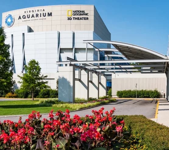 Best Hotels near Virginia Aquarium and Marine Science Center