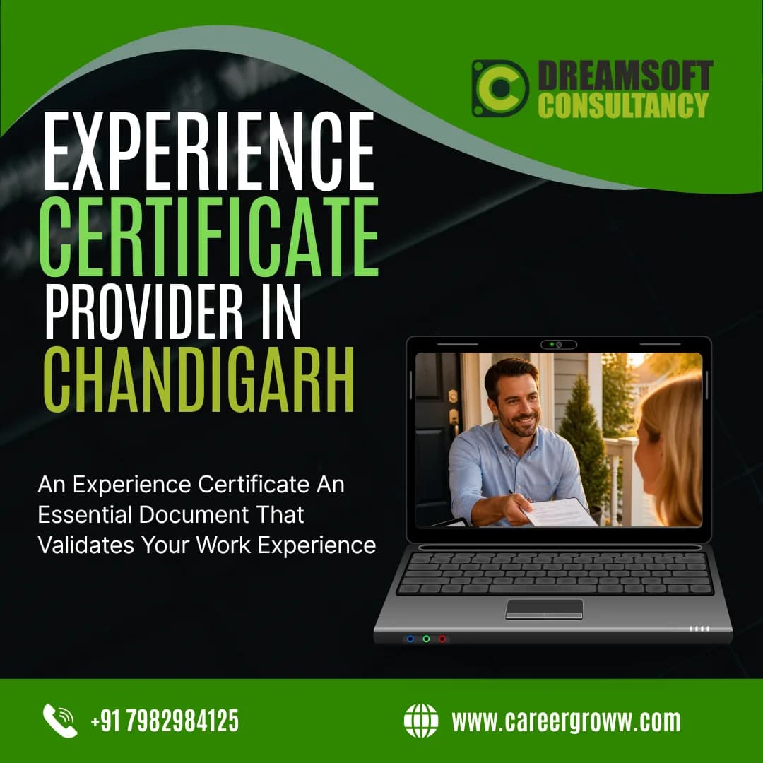  Experience Certificate Documentation for Professionals in Chandigarh