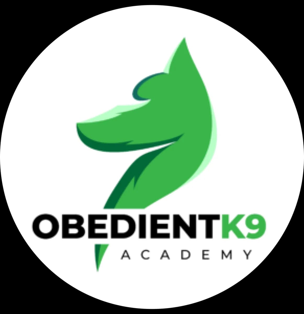 Obedient K9 Academy