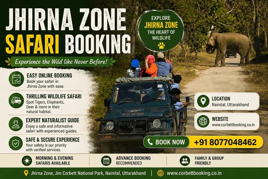 How to Experience a Real Jungle Adventure with Jhirna Zone Safari Booking