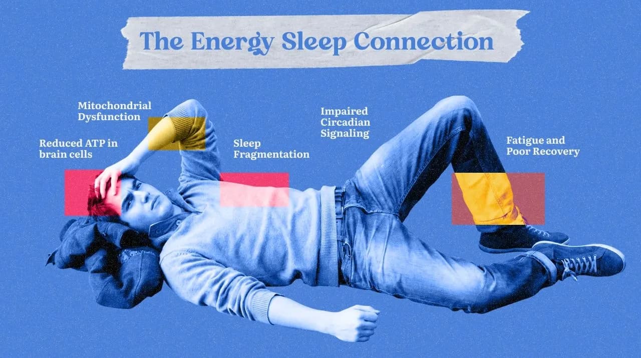 Mitochondrial Dysfunction and Sleep Disorders: What's the Link?