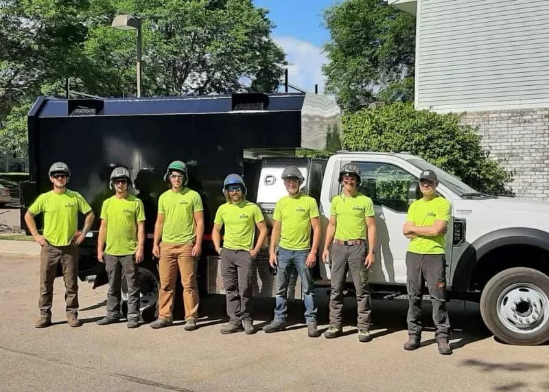 Quality Tree Service Madison for Storm Damage & Tree Maintenance