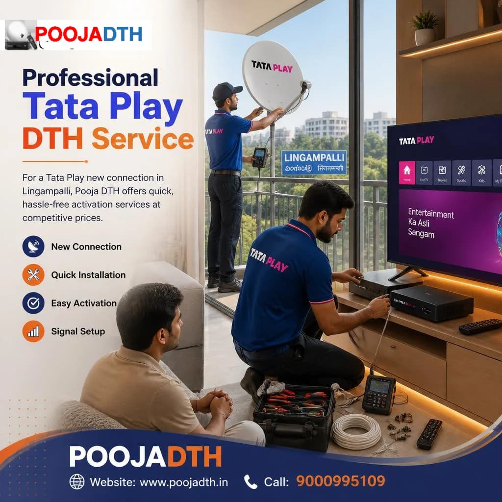 Professional Tata Play DTH Service