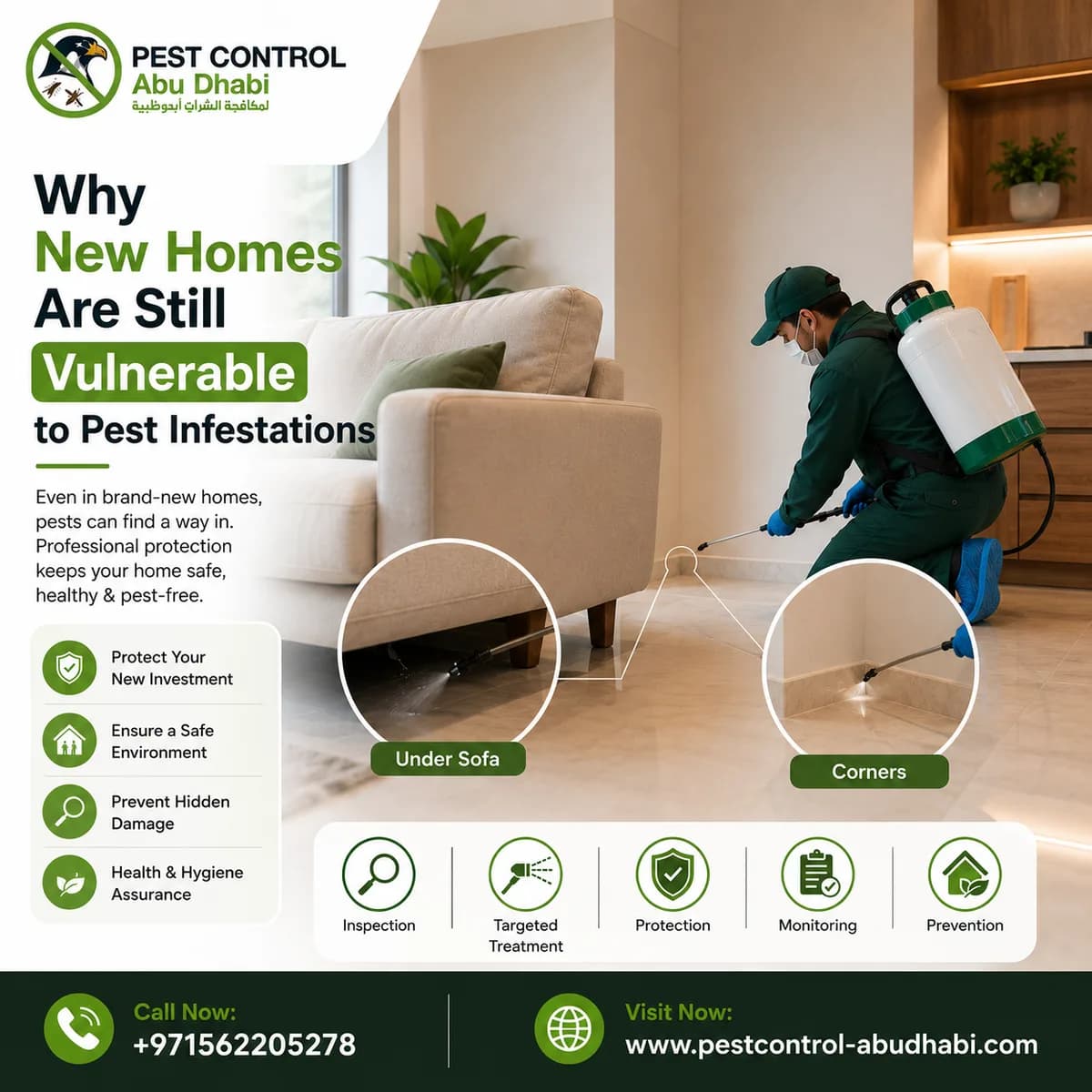 Why New Homes Are Still Vulnerable to Pest Infestations 