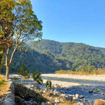 10 Smart Corbett Booking Tips for a Memorable Wildlife Holiday
