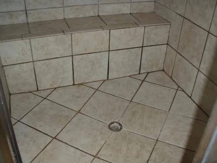 Grout and Tile Cleaning Services in South Tampa | Grout Master Tampa
