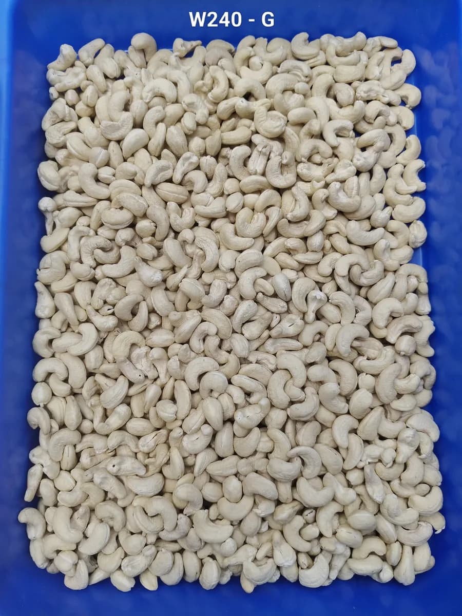 Thane Navi Mumbai top cashew nuts supplier in Maharashtra 7550251115