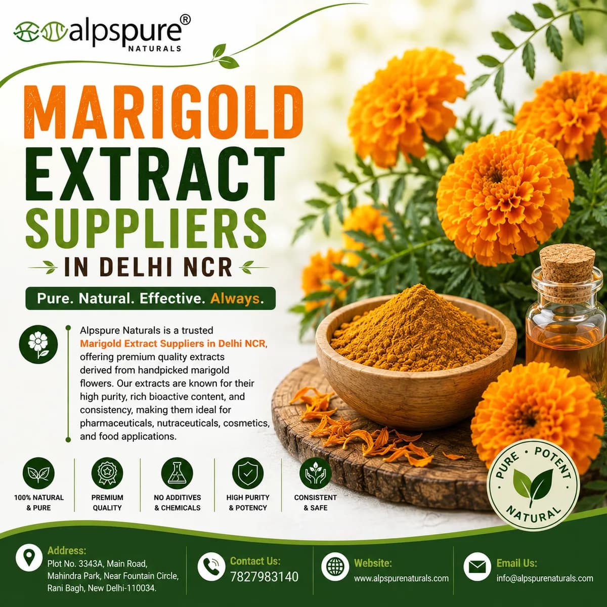 Marigold Extract Suppliers in Delhi NCR