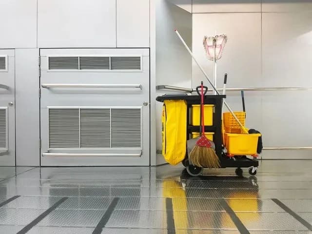 Domestic Cleaning Services