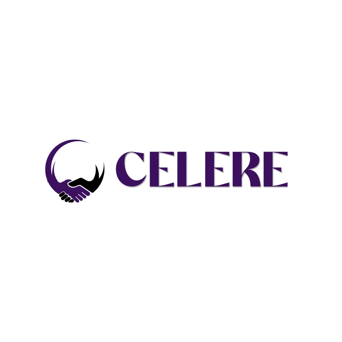 Celere Services | Best Digital Marketing Company in India  