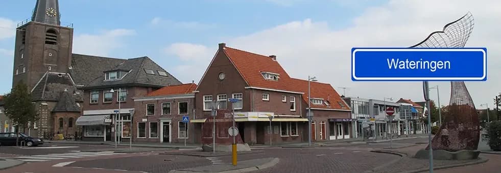 Airport Taxi Wateringen naar Schiphol