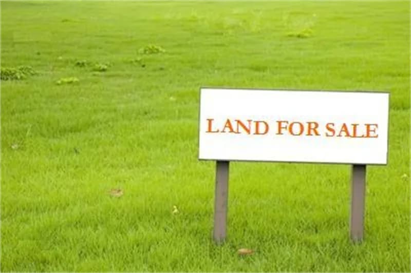 🏡 Premium Plots Available in Sector 75 Faridabad 🏡