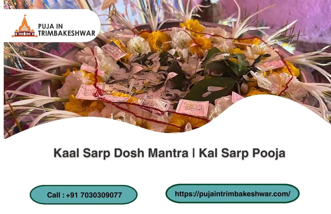Kaal Sarp Dosh Mantra | Kal Sarp Pooja 