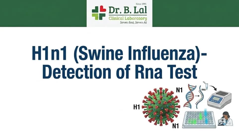 H1N1 Swine Influenza RNA Detection Test | Trusted Lab in Agra | Dr. B. Lal Lab