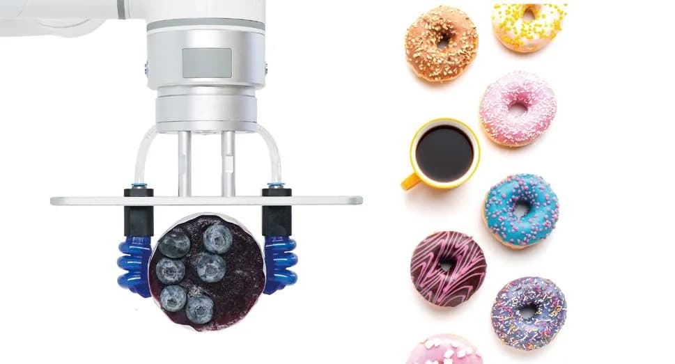 Soft Gripper Robot