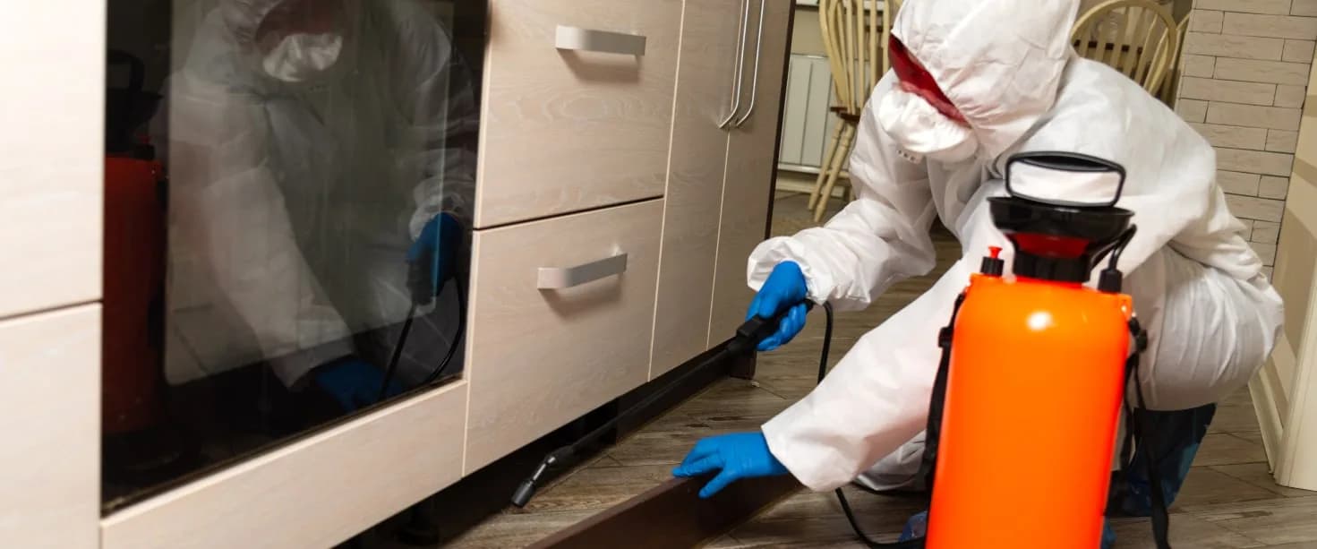 Pest Control Services in Hyderabad | Unicare Services