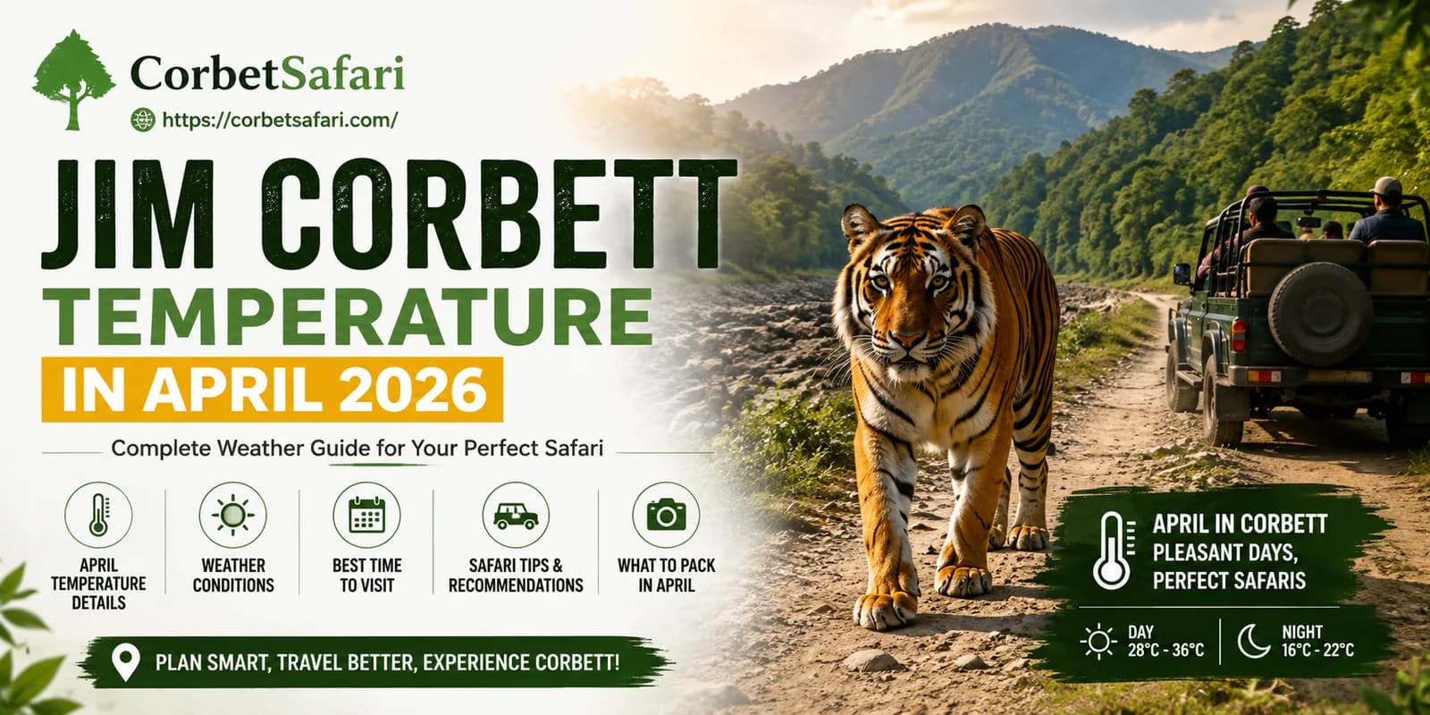 Jim Corbett National Park from Delhi: Complete Travel Guide 