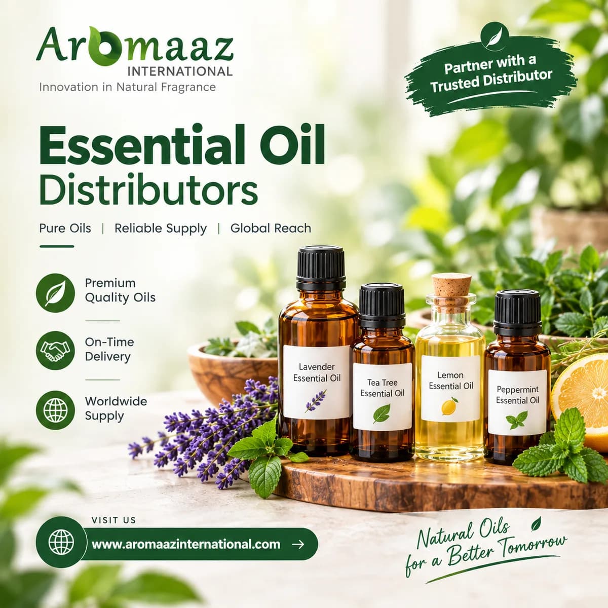 Essential Oil Distributors | Bulk & Wholesale Natural Essential Oils