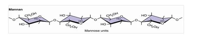  Mannanase Enzyme - ABTL Enzymes