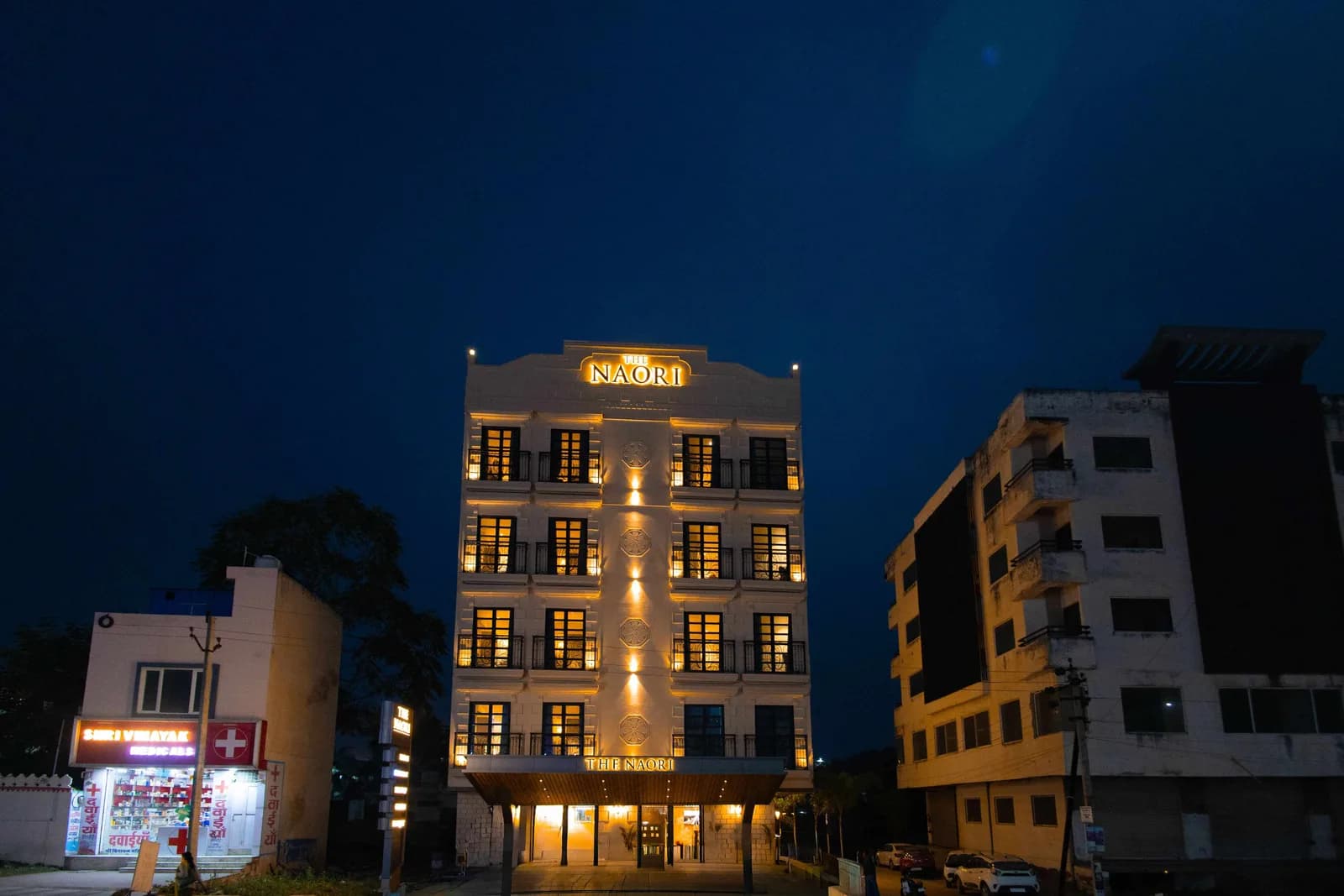 Taste Fresh and Authentic Meals at Veg Restaurant in Udaipur