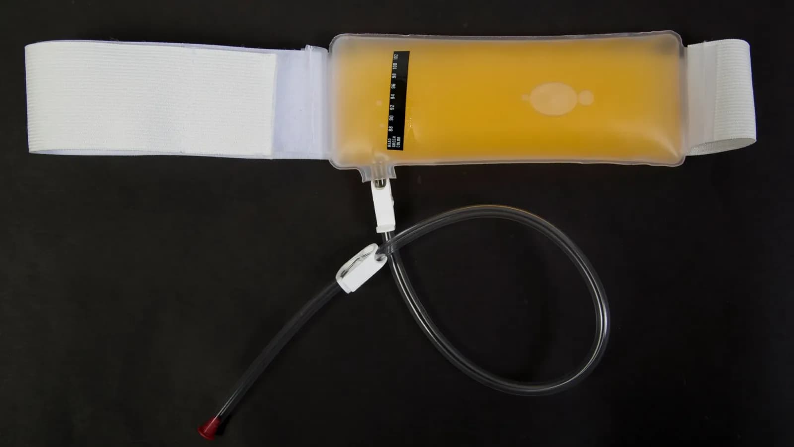 Authentic Premium Synthetic Urine Kit | The Whizzinator