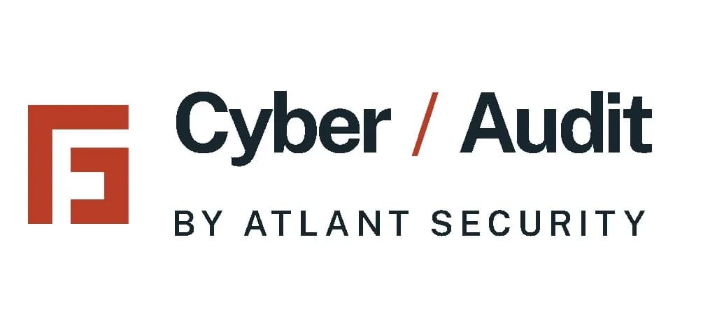 cybersecurity audit
